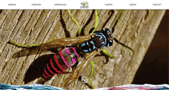Desktop Screenshot of comair.fr